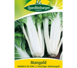 Quedlinburger Samen Mangold 'Amarilla De Lyon 2'