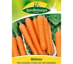 Quedlinburger Samen Möhren 'Frühe Amsterdam 2'
