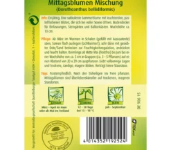 Quedlinburger Samen Mittagsblume 'Mischung'