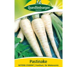 Quedlinburger Samen Pastinake 'Suttens Student'
