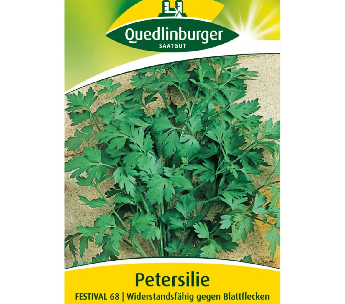 Quedlinburger Samen Petersilie 'Festival 68'