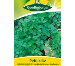 Quedlinburger Samen Petersilie 'Einfache Schnitt 3'