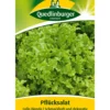 Quedlinburger Samen Plücksalat 'Lollo Bionda'