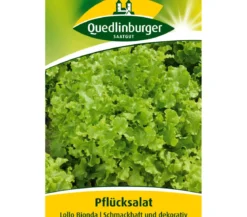 Quedlinburger Samen Plücksalat 'Lollo Bionda'