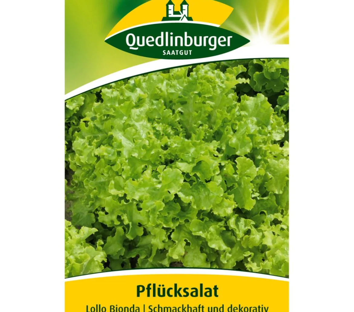 Quedlinburger Samen Plücksalat 'Lollo Bionda'
