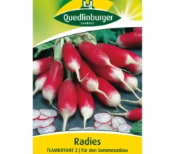 Quedlinburger Samen Radies 'Flamboyant 2'