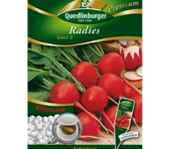 Quedlinburger Samen Radies 'Saxa 2'