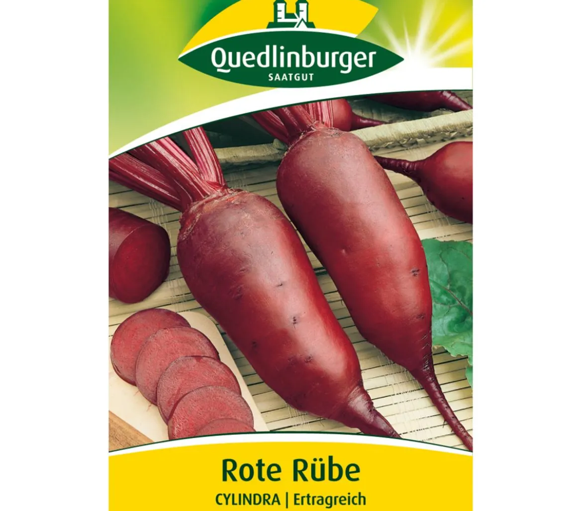 Quedlinburger Samen Rote Rübe 'Cylindra'