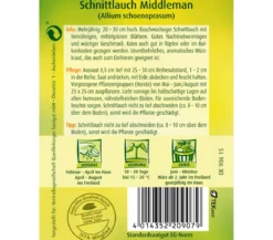 Quedlinburger Samen Schnittlauch 'Middleman'