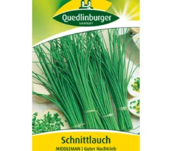 Quedlinburger Samen Schnittlauch 'Middleman'