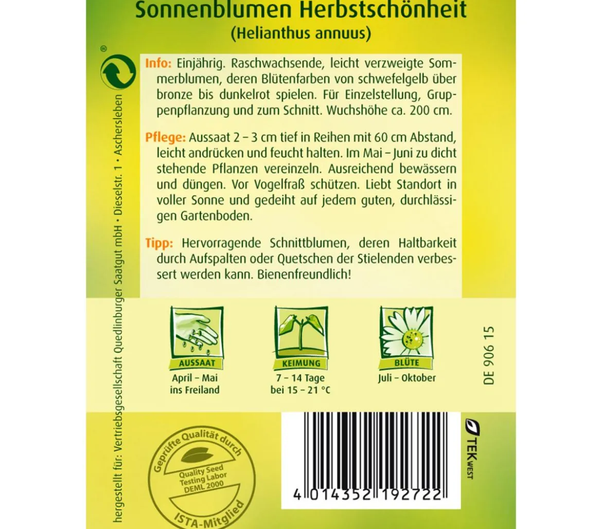 Quedlinburger Samen Sonnenblume 'Herbstschönheit'