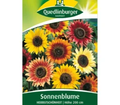 Quedlinburger Samen Sonnenblume 'Herbstschönheit'