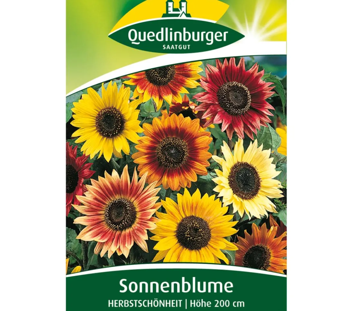 Quedlinburger Samen Sonnenblume 'Herbstschönheit'