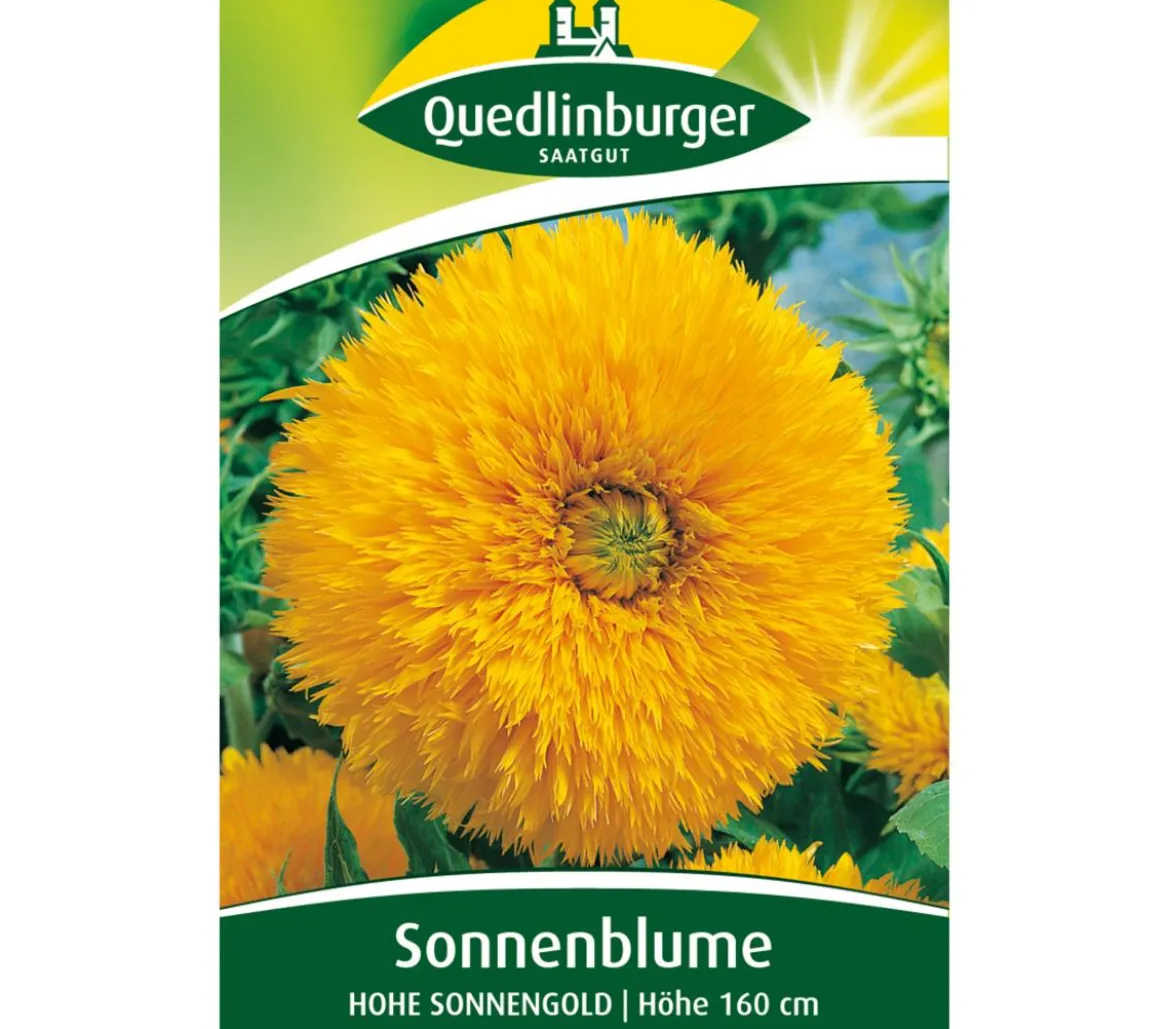 Quedlinburger Samen Sonnenblume 'Hohe Sonnengold'