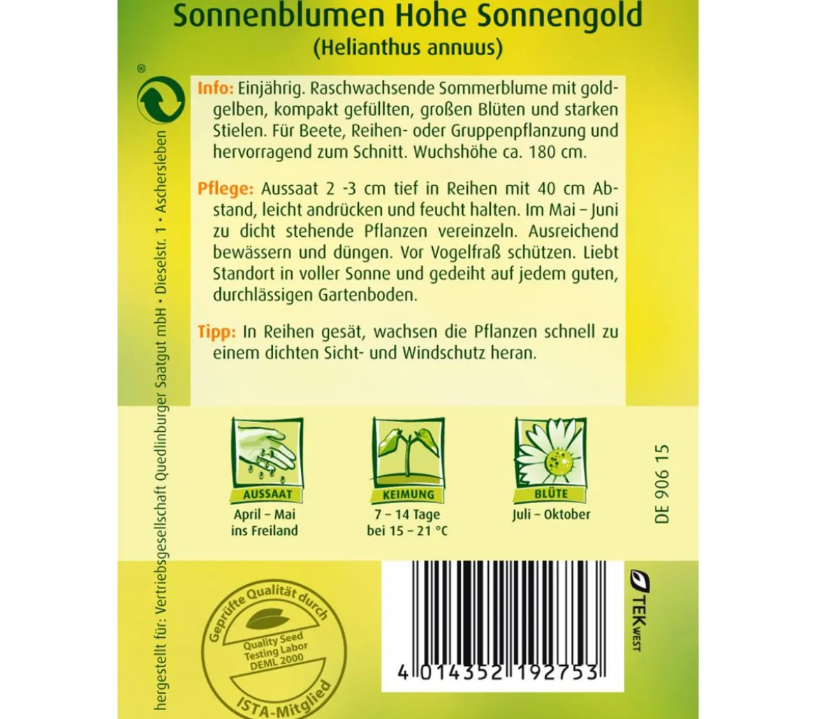 Quedlinburger Samen Sonnenblume 'Hohe Sonnengold'