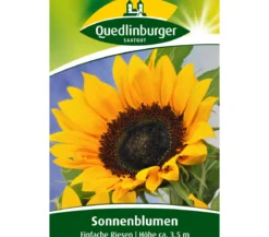 Quedlinburger Samen Sonnenblumen 'Einfache Riesen'