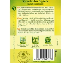 Quedlinburger Samen Speisekürbis 'Big Max'
