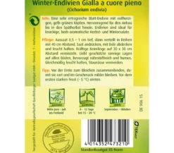 Quedlinburger Samen Winter-Endivien 'Gialla A Couore Pieno'