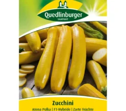 Quedlinburger Samen Zucchini 'Atena Polka'