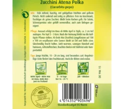 Quedlinburger Samen Zucchini 'Atena Polka'