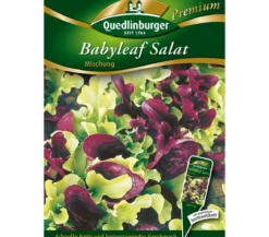 Quedlingburger Samen Salat 'Babyleaf'