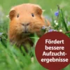 Quiko® Ergänzungsfutter für Nager Multivitaminsaft Vitacombex® Na