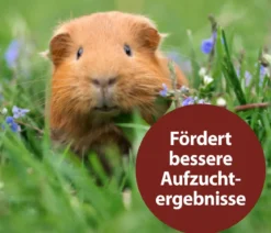 Quiko® Ergänzungsfutter für Nager Multivitaminsaft Vitacombex® Na