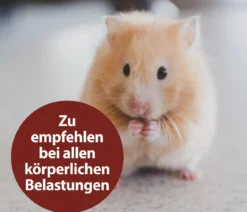 Quiko® Ergänzungsfutter für Nager Multivitaminsaft Vitacombex® Na