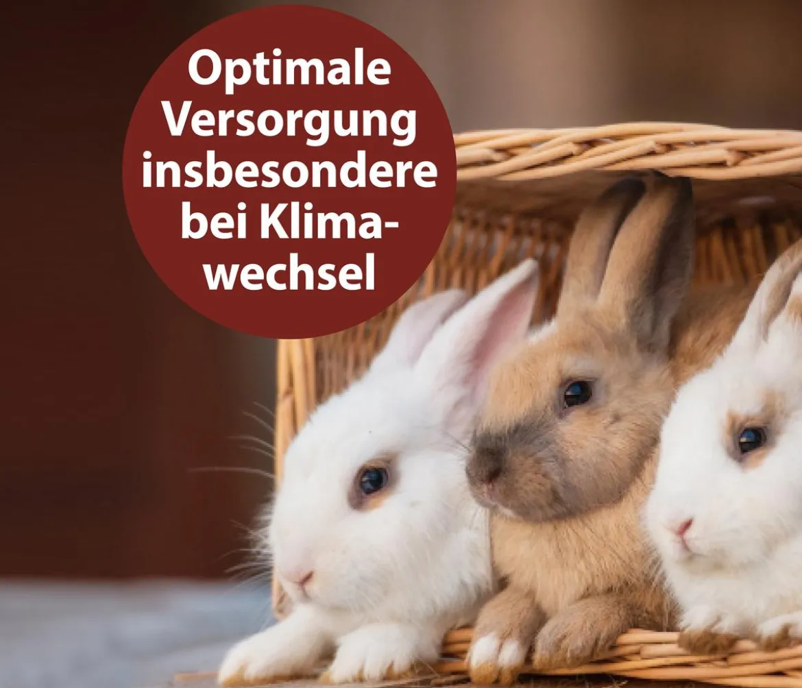 Quiko® Ergänzungsfutter für Nager Multivitaminsaft Vitacombex® Na