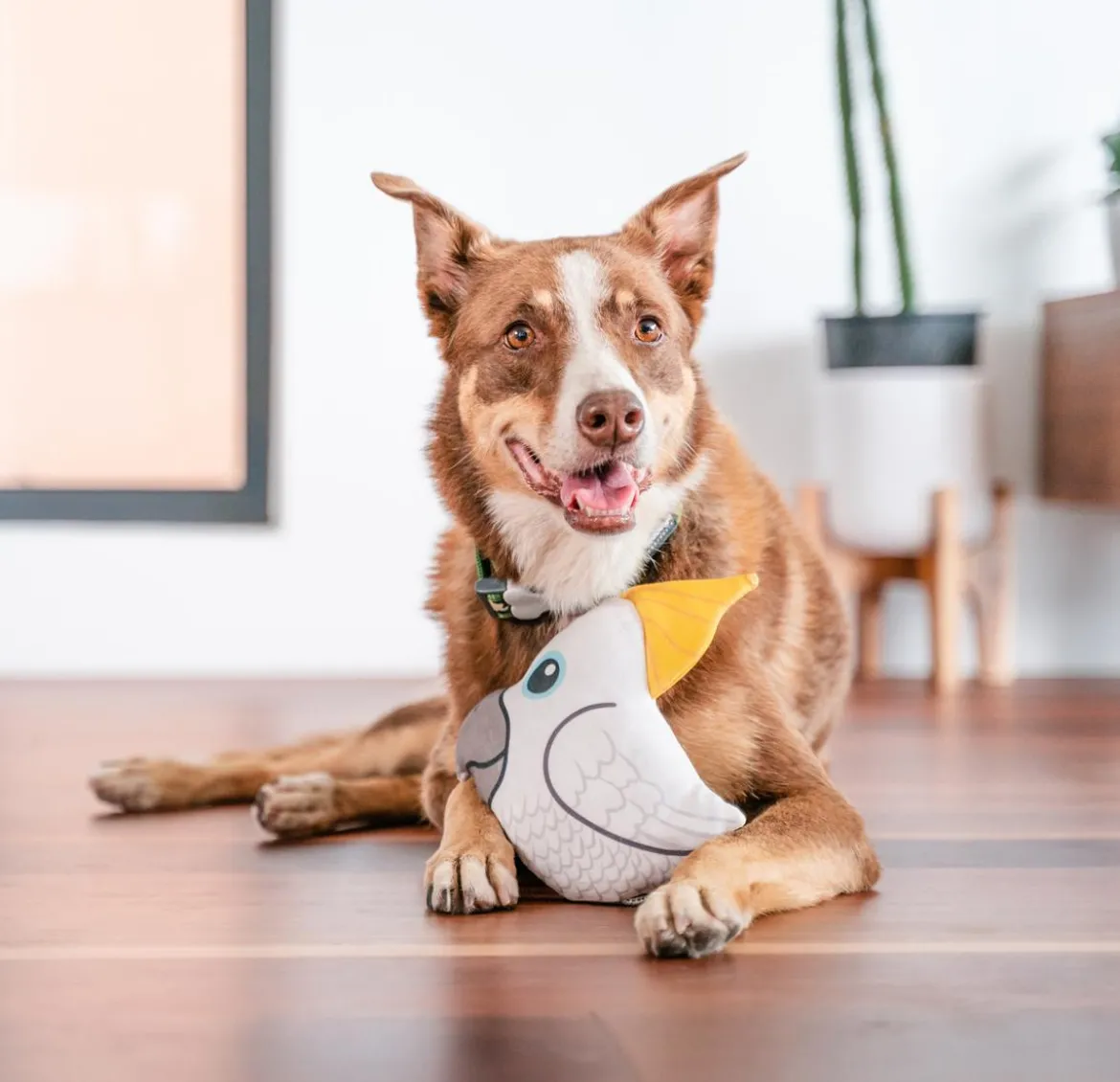 Red Dingo Hundespielzeug DURABLES Toys Kakadu