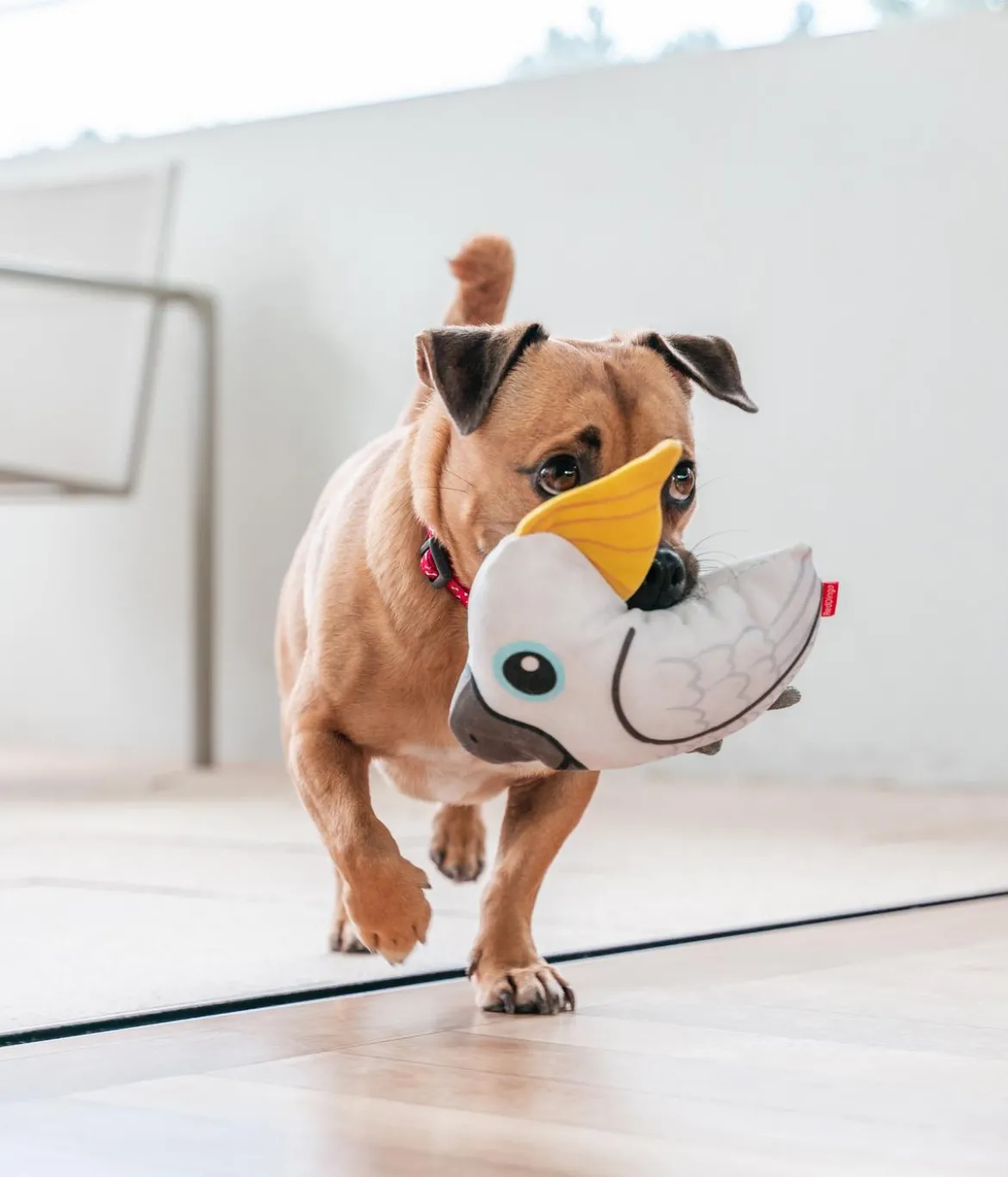 Red Dingo Hundespielzeug DURABLES Toys Kakadu