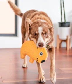 Red Dingo Hundespielzeug DURABLES Toys Wombat