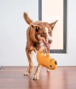 Red Dingo Hundespielzeug DURABLES Toys Wombat
