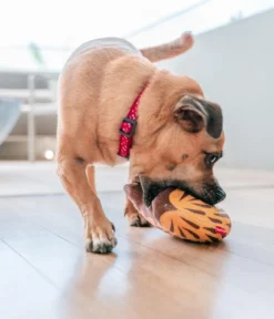 Red Dingo Hundespielzeug DURABLES Toys Nasenbär