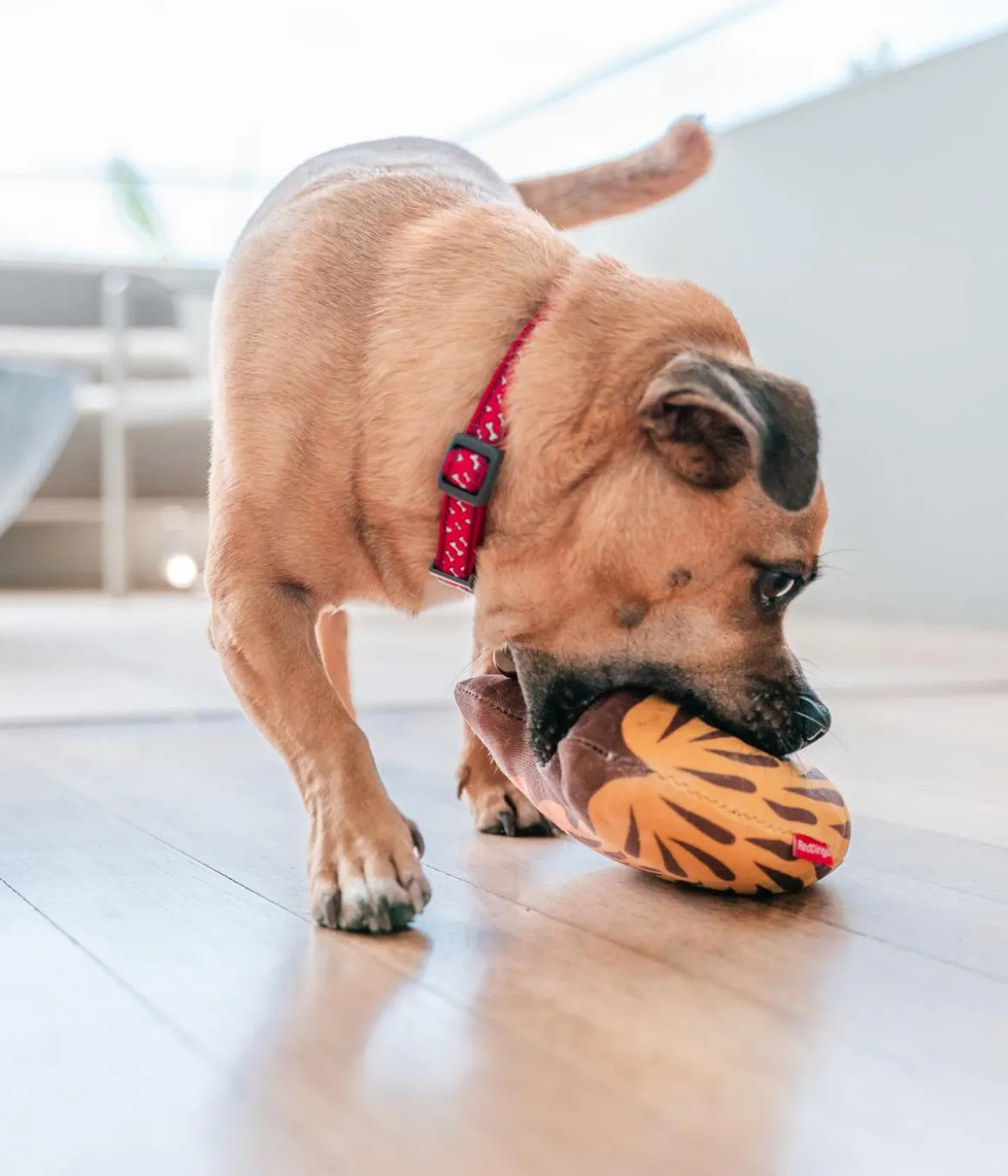 Red Dingo Hundespielzeug DURABLES Toys Nasenbär