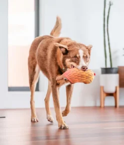 Red Dingo Hundespielzeug DURABLES Toys Nasenbär