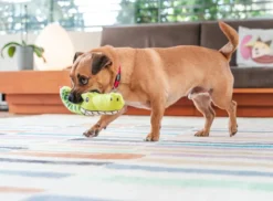 Red Dingo Hundespielzeug DURABLES Toys Krokodil