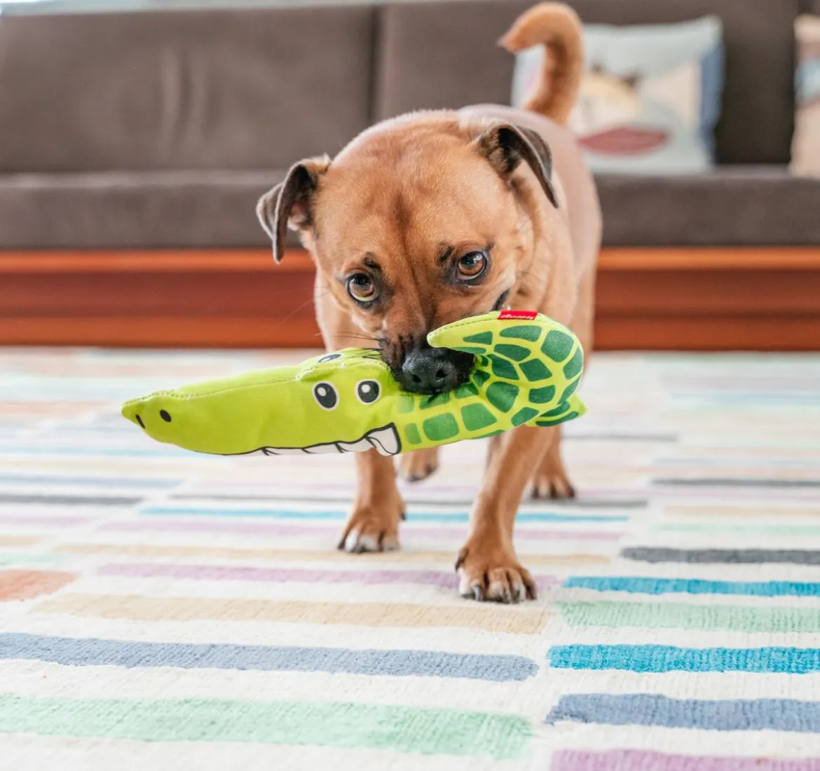 Red Dingo Hundespielzeug DURABLES Toys Krokodil