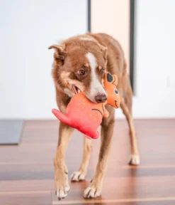 Red Dingo Hundespielzeug DURABLES Toys Känguru