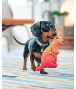 Red Dingo Hundespielzeug DURABLES Toys Känguru