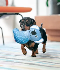 Red Dingo Hundespielzeug DURABLES Toys Koala