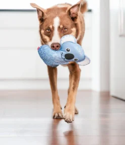 Red Dingo Hundespielzeug DURABLES Toys Koala