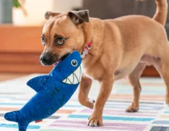 Red Dingo Hundespielzeug DURABLES Toys Hai