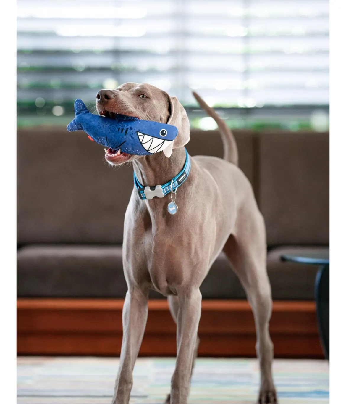 Red Dingo Hundespielzeug DURABLES Toys Hai