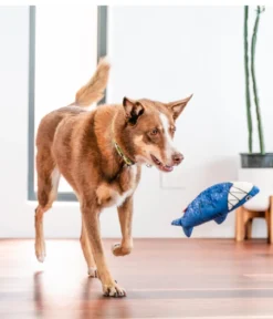 Red Dingo Hundespielzeug DURABLES Toys Hai