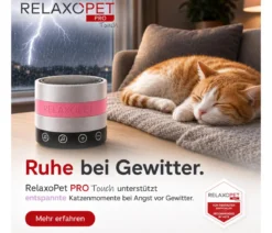 RelaxoPet® Pro Touch Anti-Stress-System für Katzen