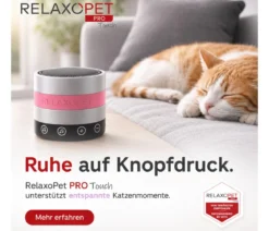 RelaxoPet® Pro Touch Anti-Stress-System für Katzen