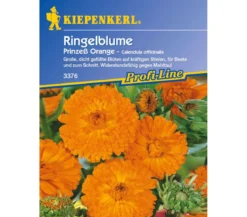 Ringelblume Prinzeß Orange, Saatgut von Kiepenkerl