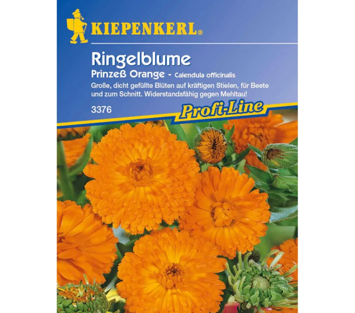 Ringelblume Prinzeß Orange, Saatgut von Kiepenkerl