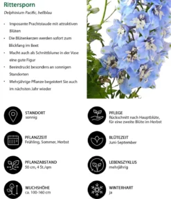 Rittersporn, verschiedene Sorten